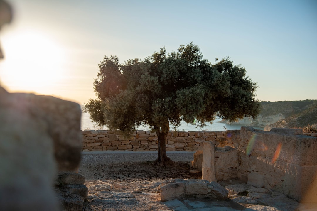 A Savior’s Rest: Joy After the Journey