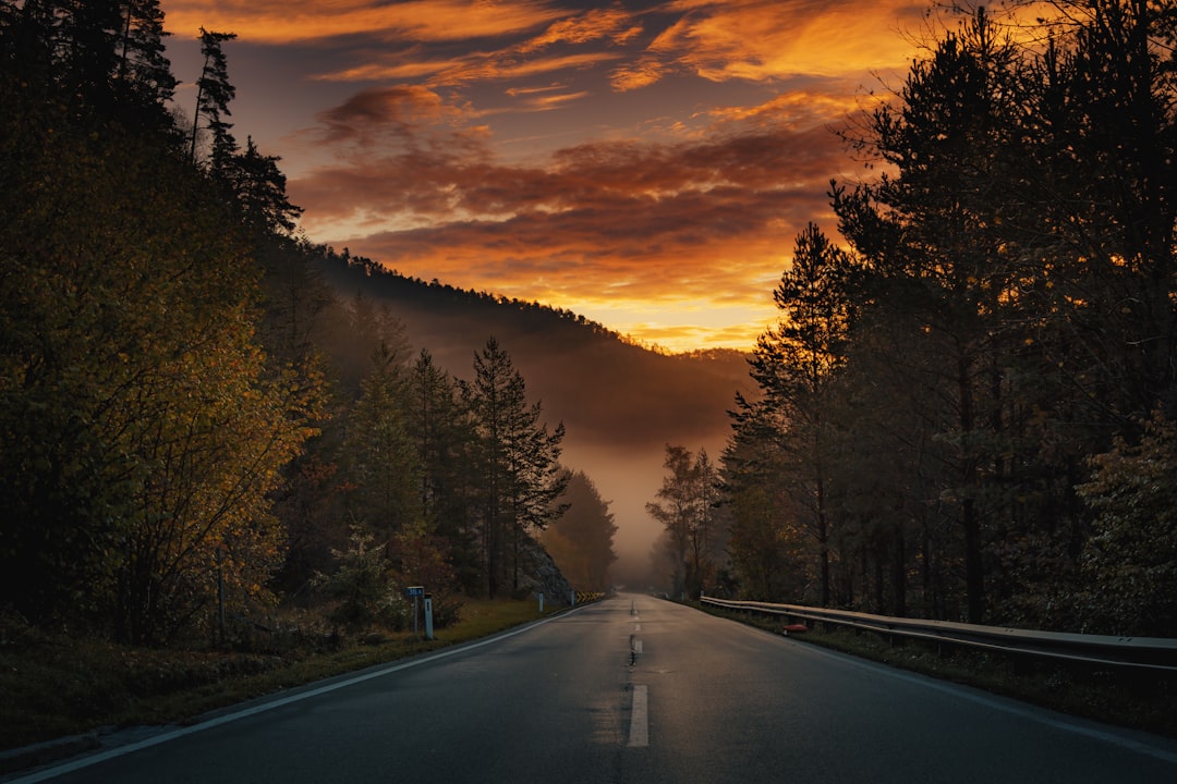 The Lonely Road to Bethlehem