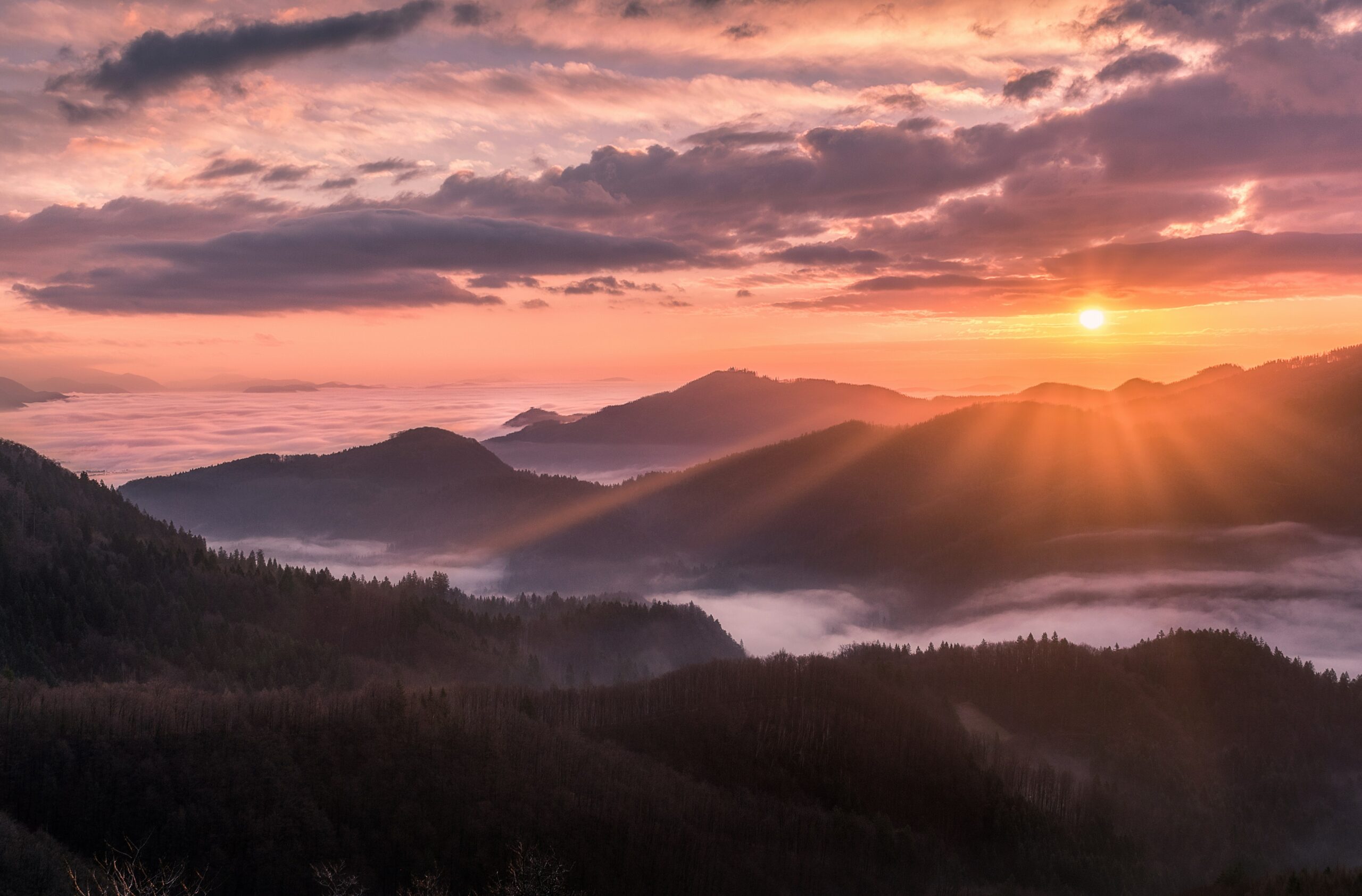 Dawn of Renewed Faith