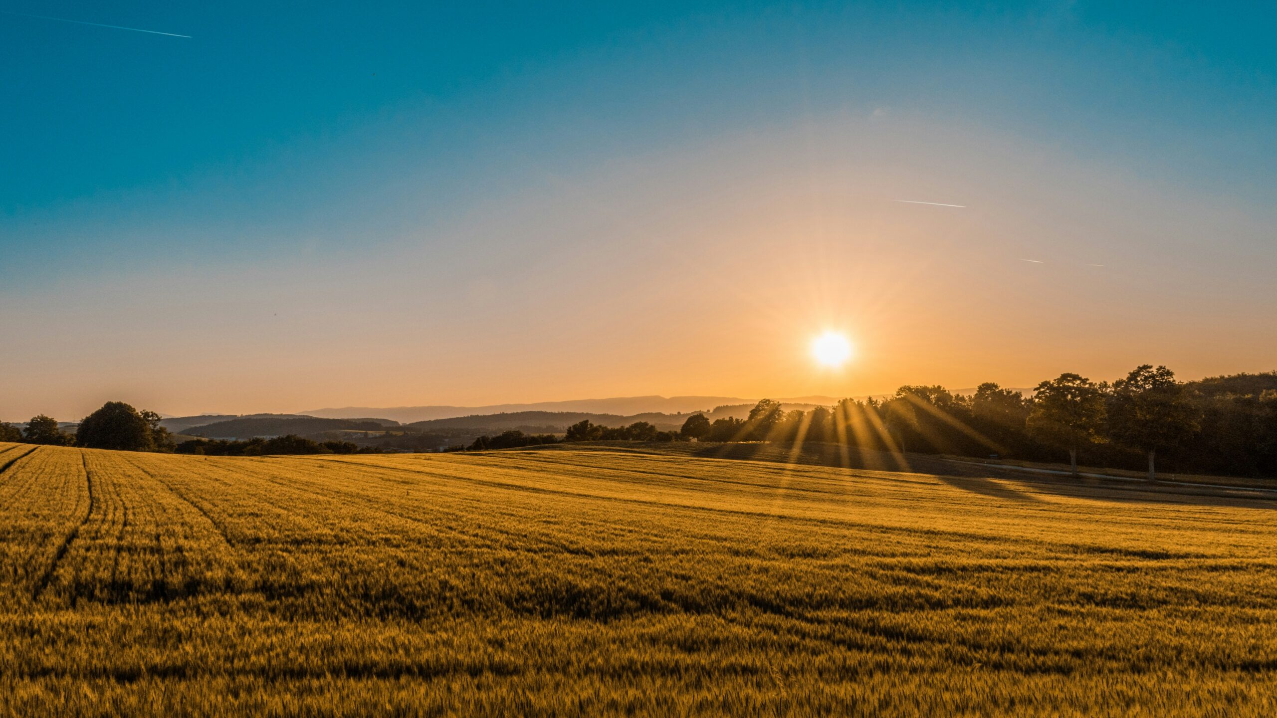 The Harvest of Blessings