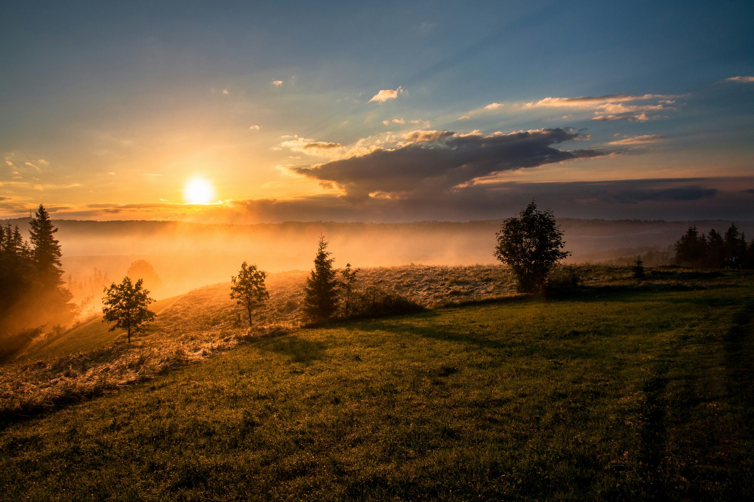 The Joy of Morning Praise