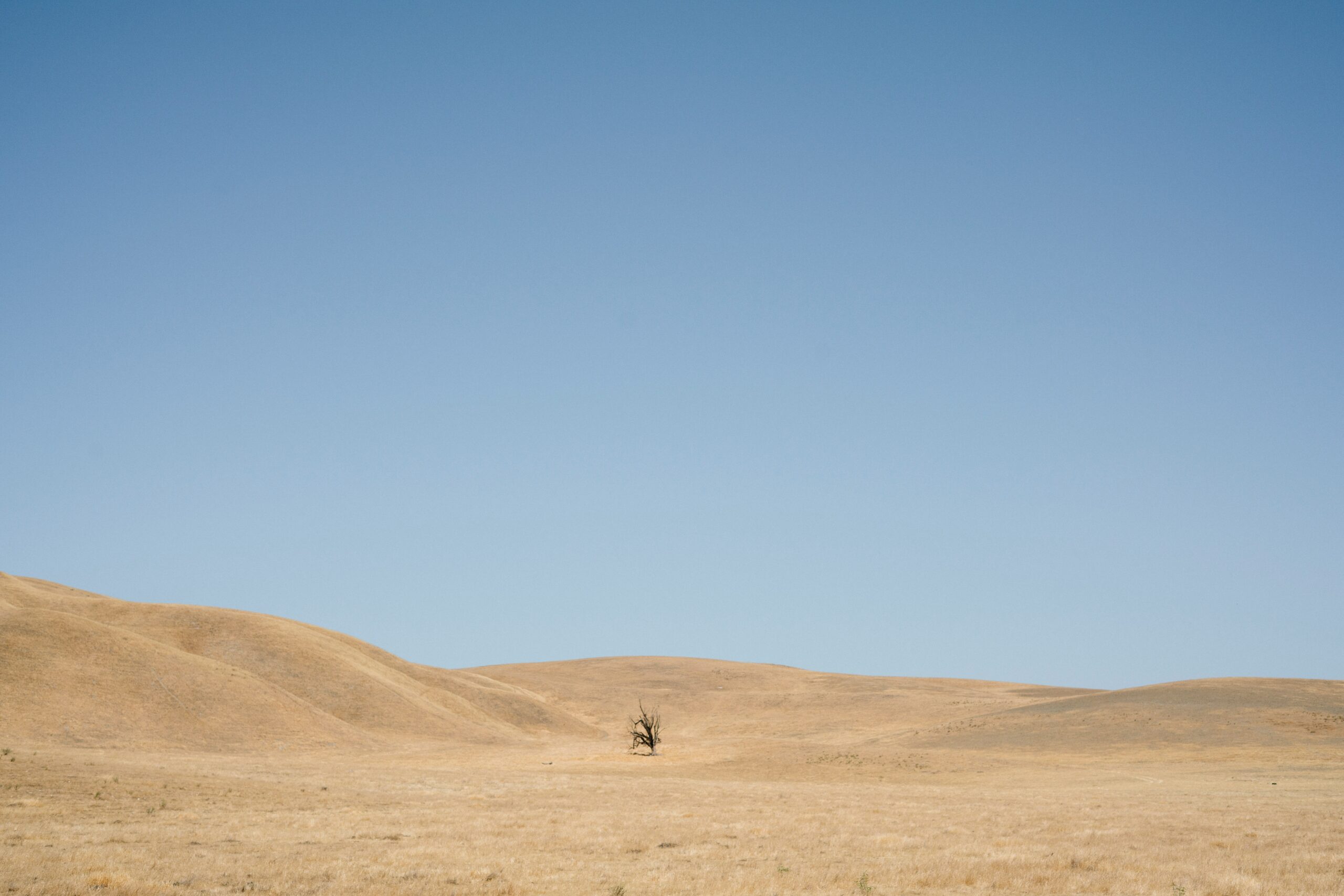 The Loneliness of the Believer