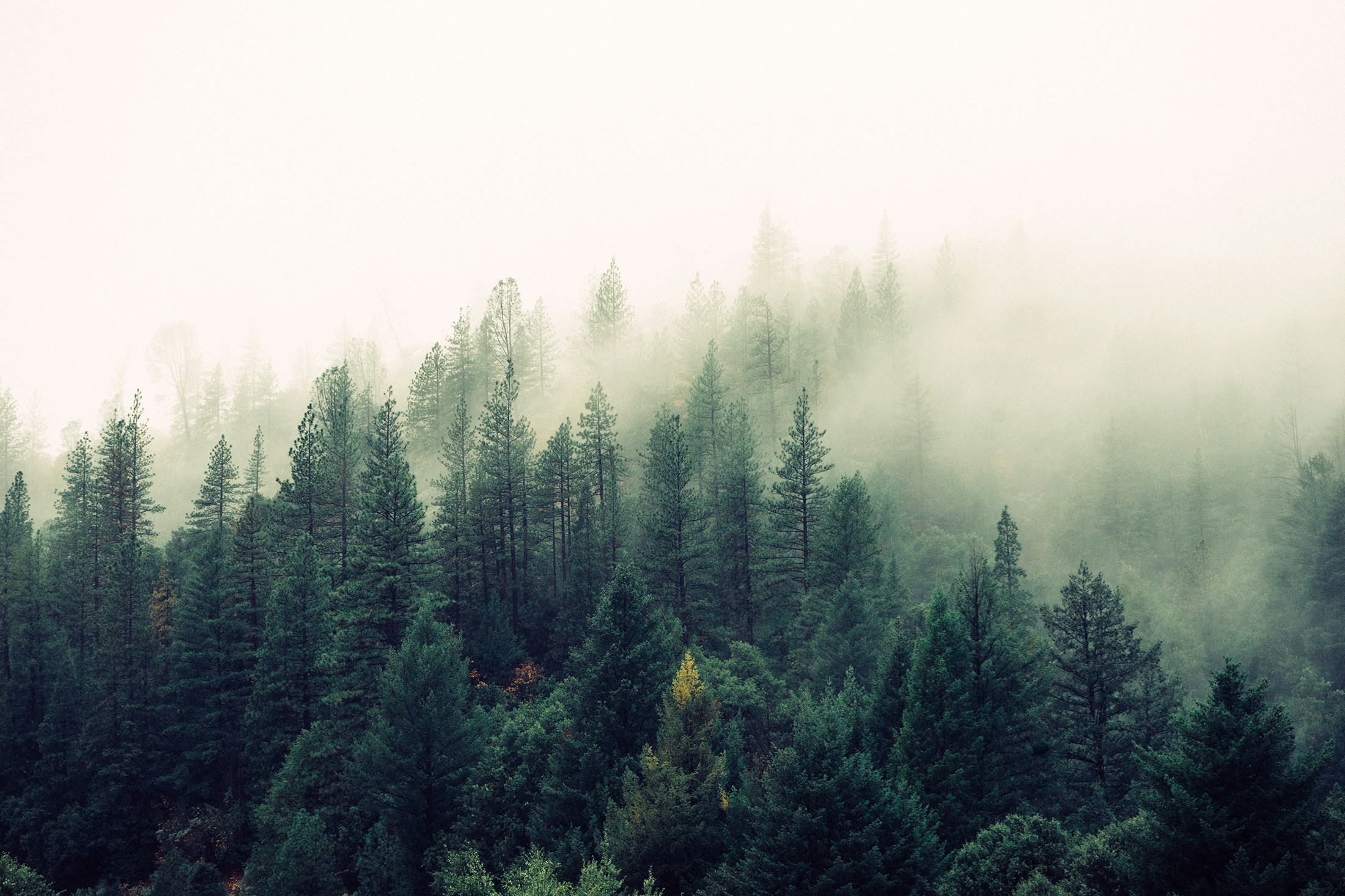 The Slow Work of Becoming