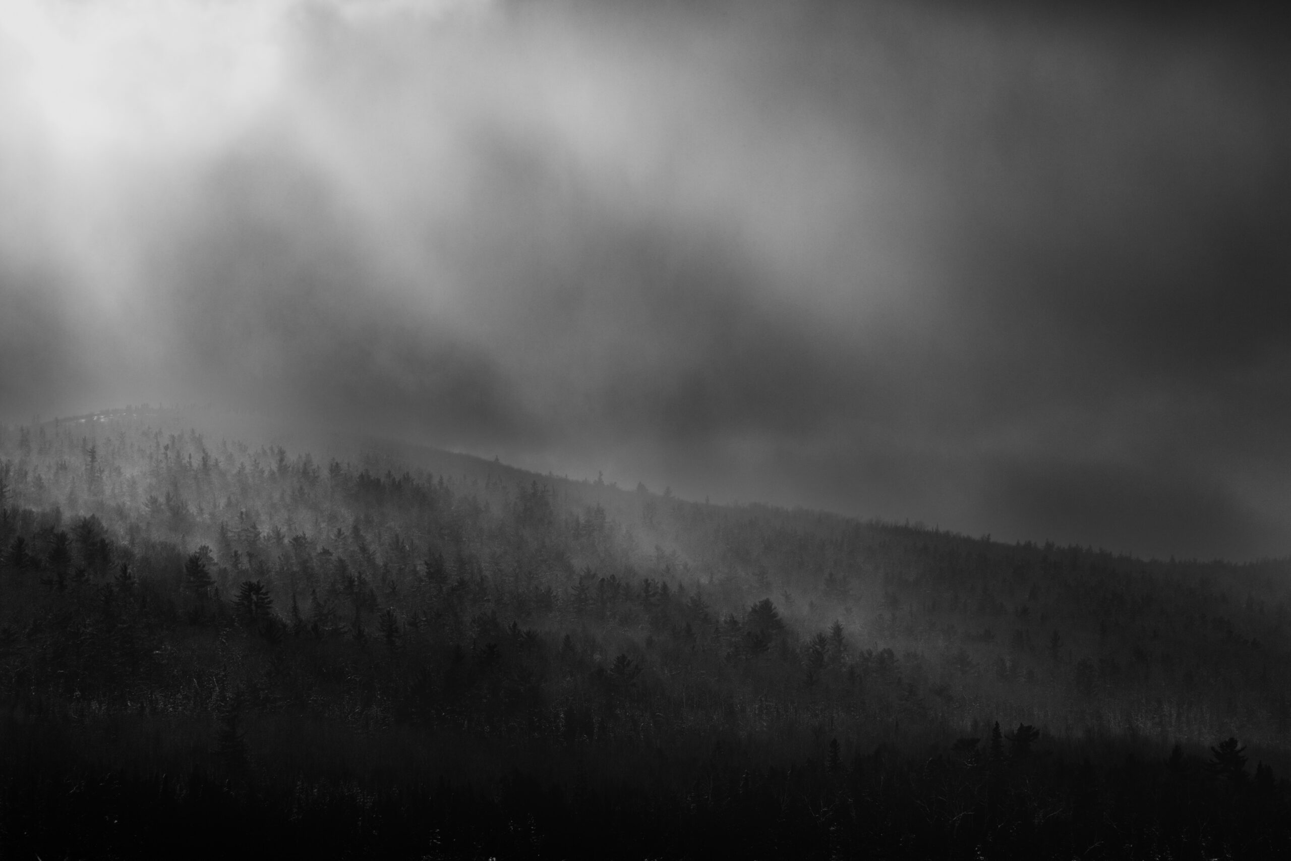 A Mother’s Sorrow at the Foot of Wood