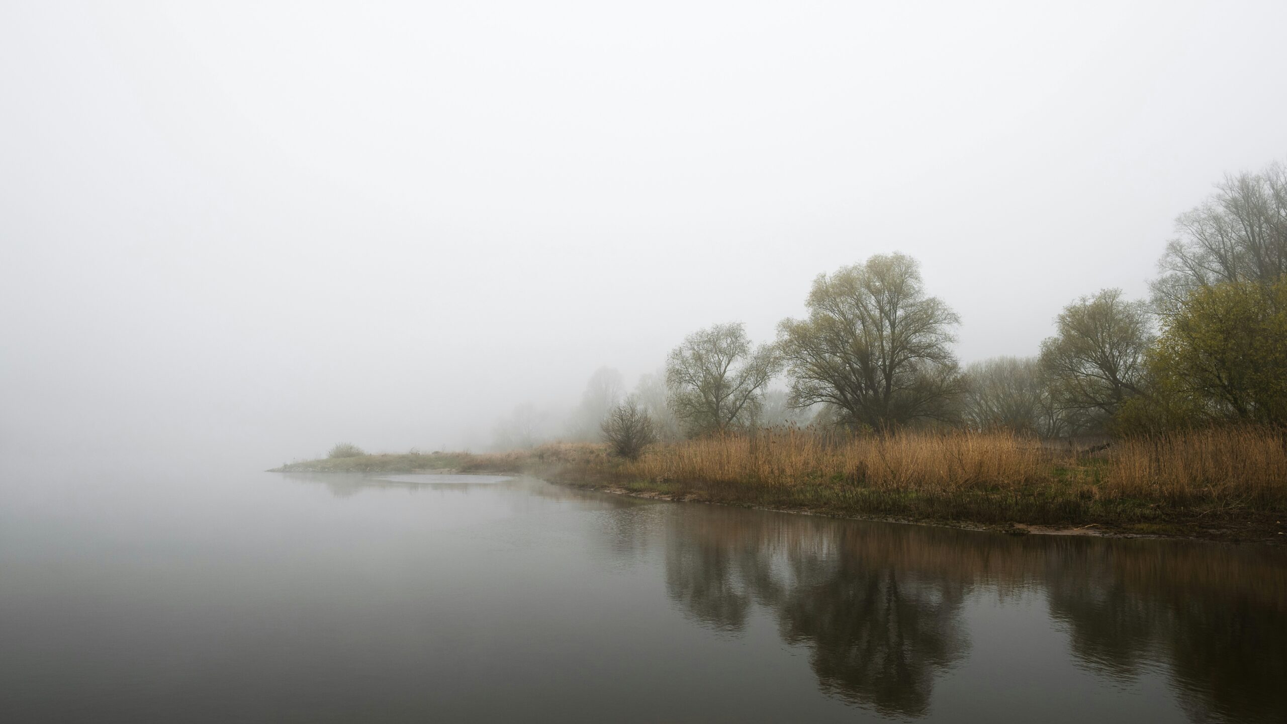 Beside Foreign Rivers