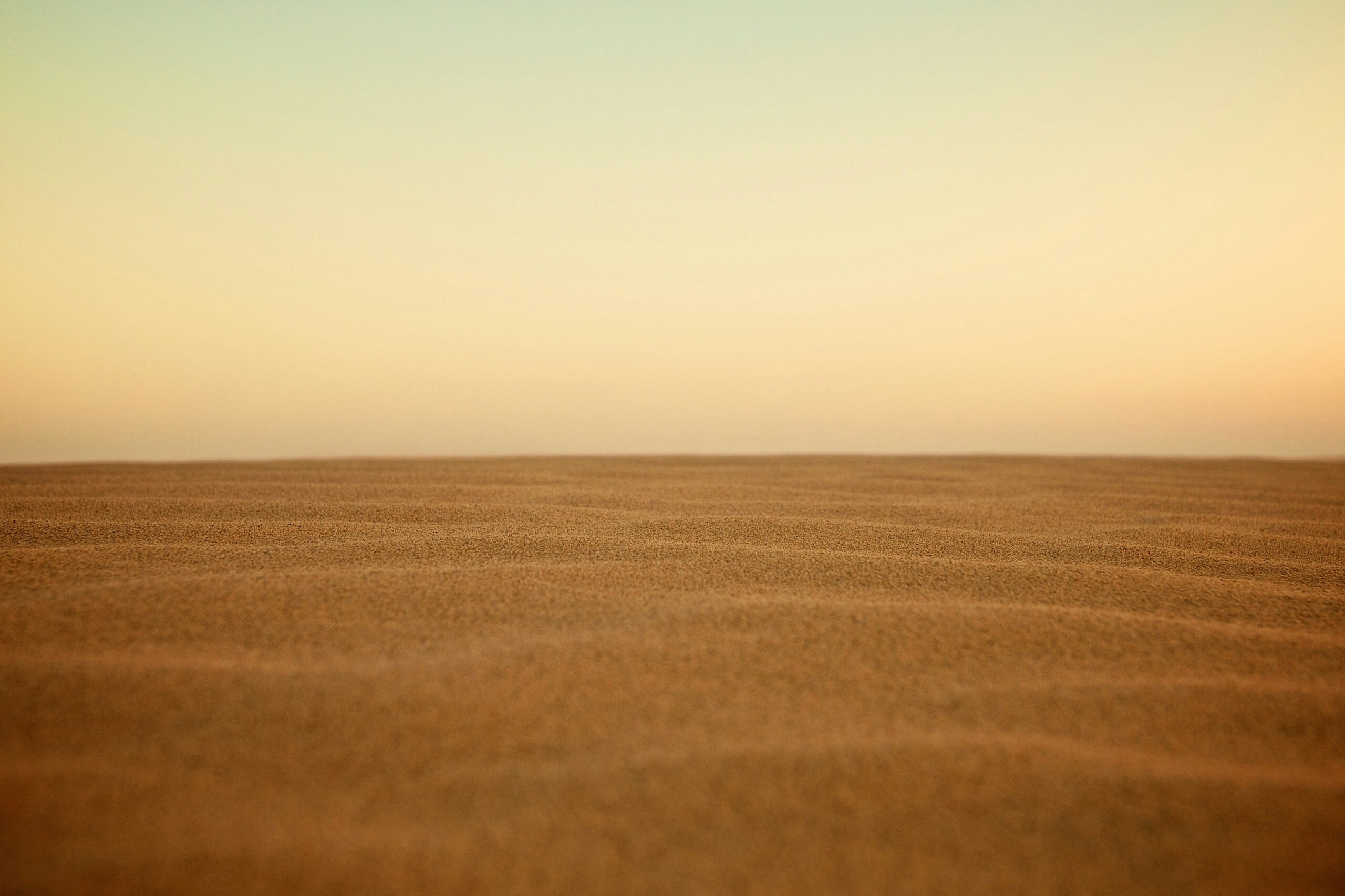 When God Seems Absent